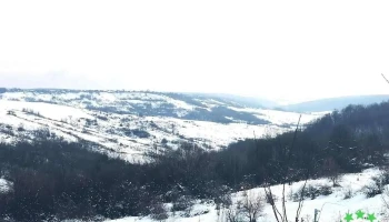 Mădulari - Mădulari