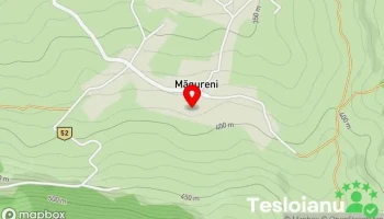Măgureni - Măgureni