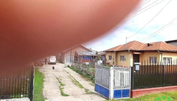 Mărcești - Mărcești