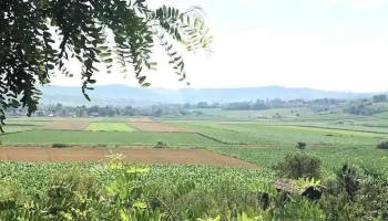 Mărăşeşti - Mărăşeşti