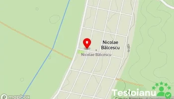 Nicolae Bălcescu - Nicolae Bălcescu