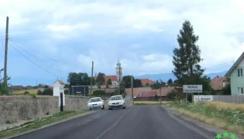 Nicolești - Nicolești