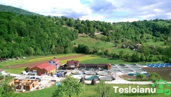 Novarainvest - Păstrăvăria Roșia-Bihor - Roșia