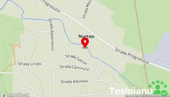 Nuntaşi - Nuntaşi