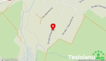 Oláh család szerviz - Valea Lui Mihai 415700
