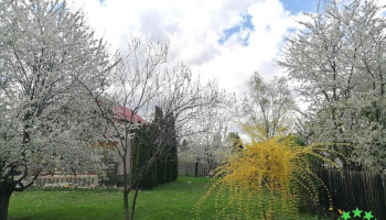 Oraş Breaza - Romania