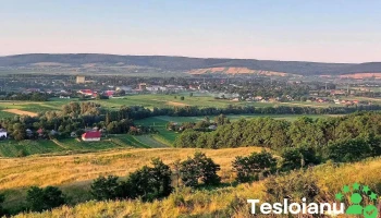 Oraş Dolhasca - Romania