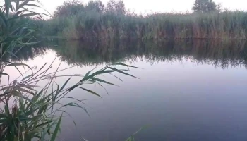 Oraş Siret - Romania