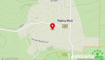 Padina Mică - Padina Mică