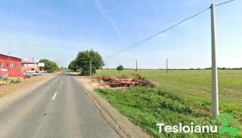 Pajistea - Felnac 317125