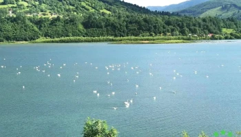 Pângărați - Romania