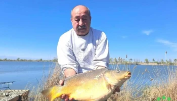 Panorama Lake - Moftinu Mic - Moftinu Mic