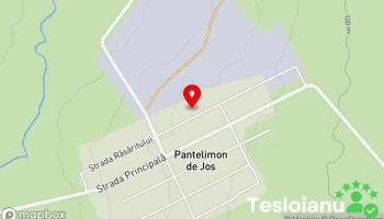 Pantelimon de Jos - Pantelimon De Jos