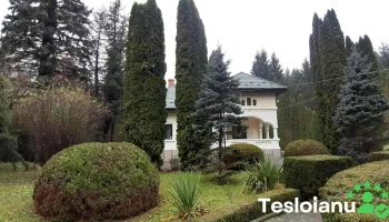 Parcul dendrologic Mihăești - Mihăești 117470