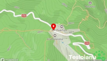 Pasul Turia - Turia