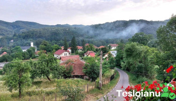 Pensiunea La Mustata - Isverna