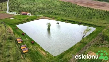 Pescăria Jolța - Tășnad