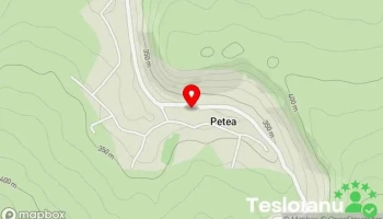 Petea - Petea