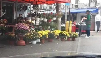 Piaţa Centrală - Câmpulung