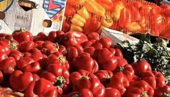 Piața agricolă Pucheni - Puchenii Mari
