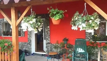 Piața Agroalimentară - Brad