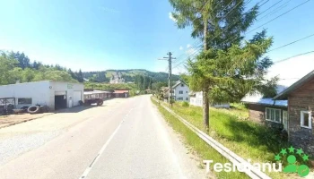 Piese auto - Șaru Dornei
