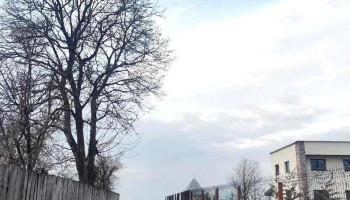 Pînceşti - Pînceşti