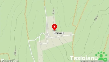 Poienile - Poienile