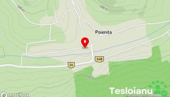 Poienița - Poienița