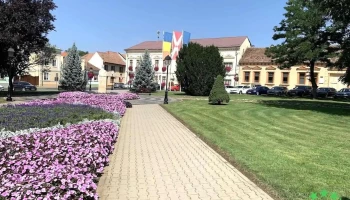 Primăria Blaj - Blaj