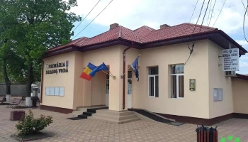 Primăria Comunei Dragoș Vodă - Dragoș Vodă 917085