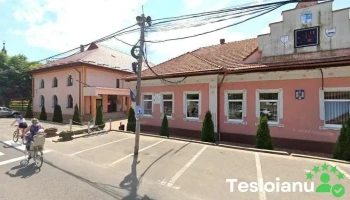 Primăria Foieni - Foieni