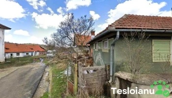Primăria Lelese - Lelese