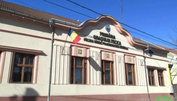 Primăria Orașului Pecica - Pecica