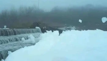 Puieștii de Jos - Puieștii De Jos