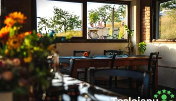 Punct Gastronomic Local Grădina Sânzienelor - Susenii Bârgăului 427231