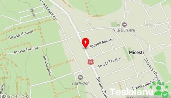 Punct gastronomic local Micesti - Alba Iulia