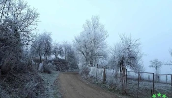 Punctul fosilifer Lăpugiu de Sus - Romania