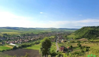 Pănet - Pănet