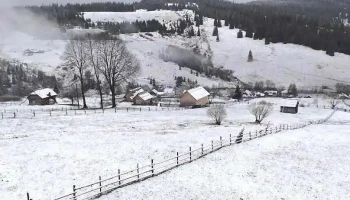 Rarăul - Câmpulung Moldovenesc