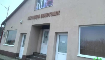 Reparatii injectoare - Salonta