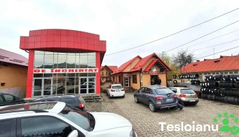 Sc Elemil Srl - Dofteana 607160