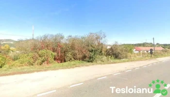 Sc Metalorec Ind - Copșa Mică 555400