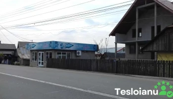Sc Zmeutz Srl - Târgu Frumos 705300