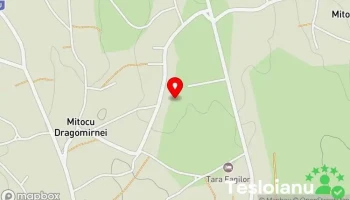 Scoala Gimnaziala Mitocu Dragomirnei - Mitocu Dragomirnei