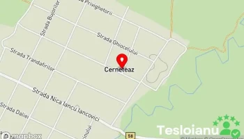 Service Auto Alex Sof - Cerneteaz 307211