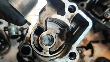 Service Auto Coasta De Vest - Arad 315400