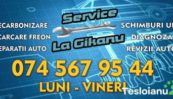 Service Auto Gikanu - 227445