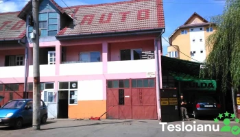 service auto - Romania