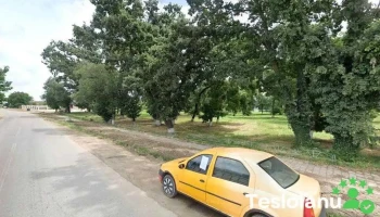 Service auto si spalatorie Geamanu - Poiana Mare 207470